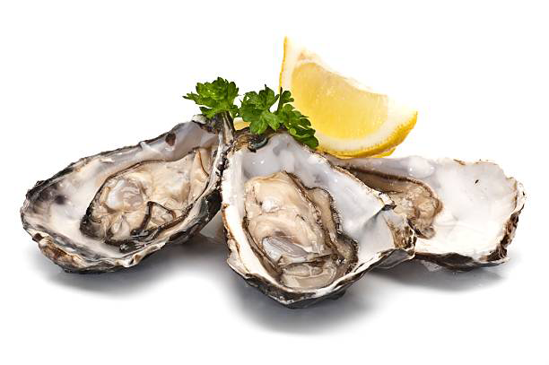 Oysters